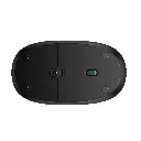 souris-sf.webp