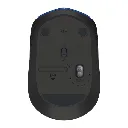 M171.webp