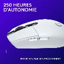 L2.webp
