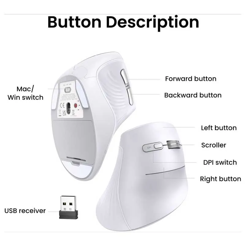 ugren-souris-blanc.webp