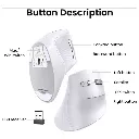 ugren-souris-blanc.webp