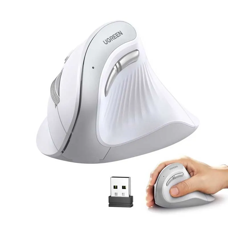 souris-blanc.webp
