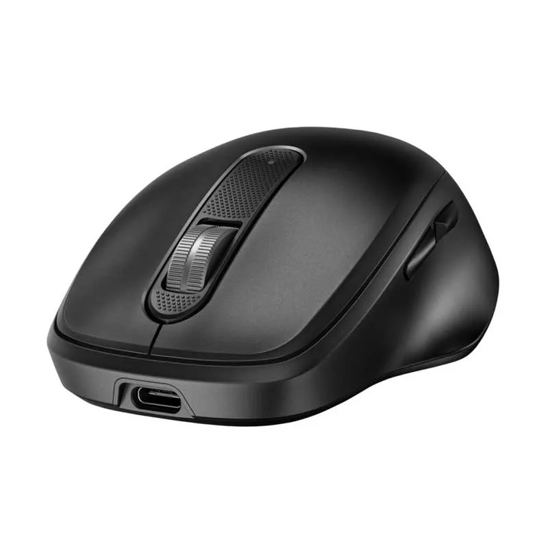 souris-hp.webp