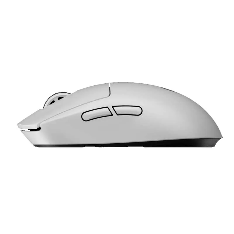 souris-logis.webp
