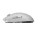 souris-logis.webp