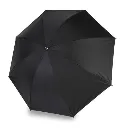 G33.webp