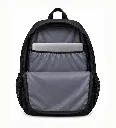 N3.webp