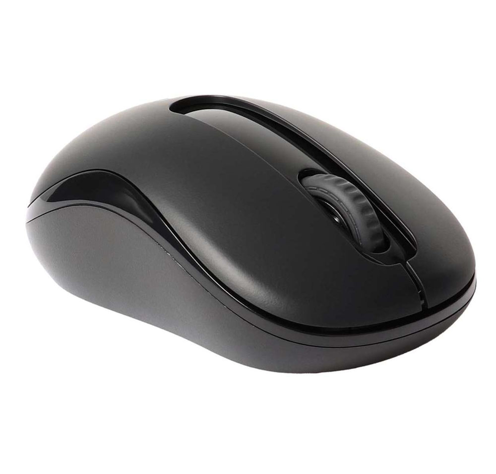 [17298] Rapoo M10 Plus Souris optique sans fil